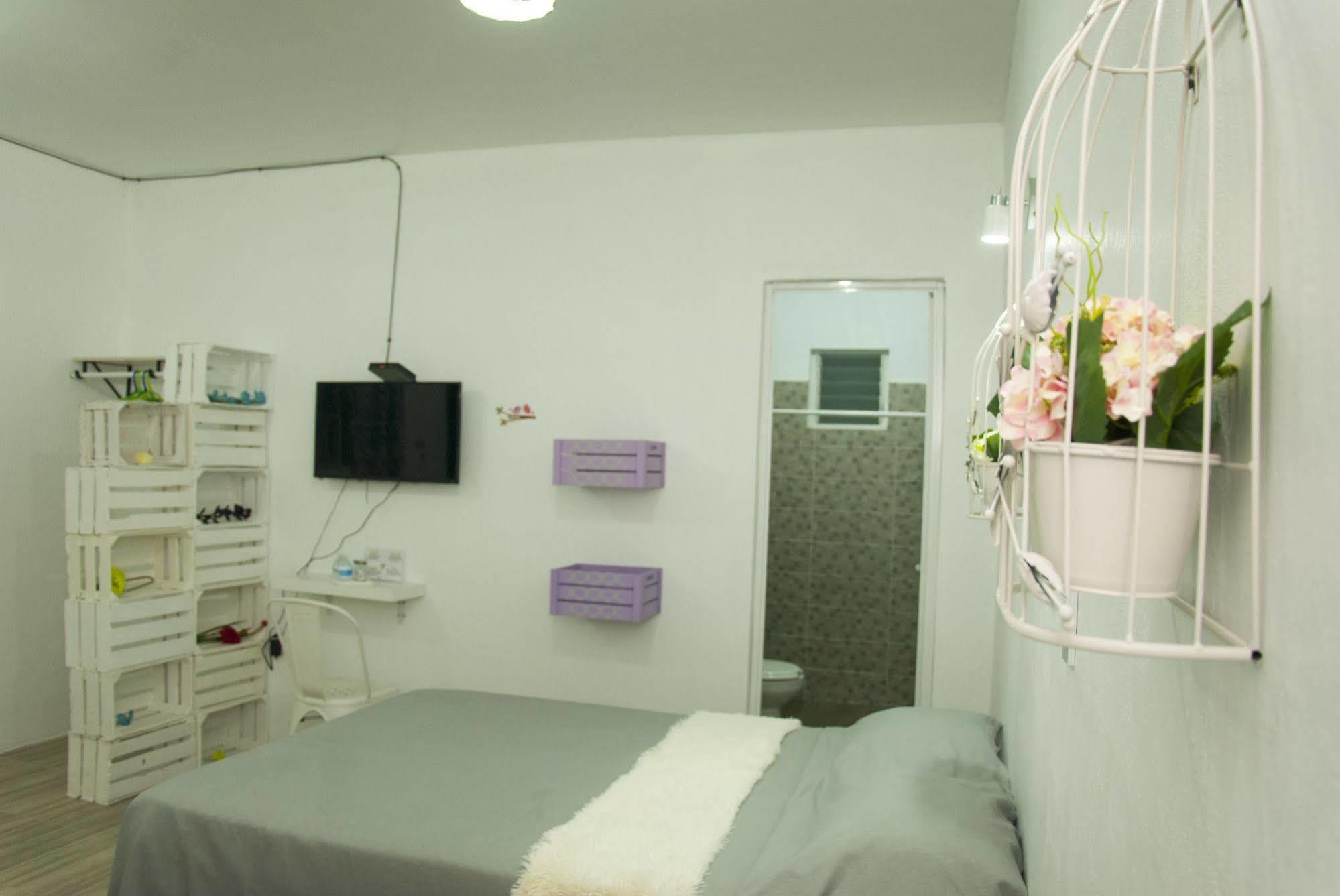 Hotel Karenina Oaxaca Eksteriør billede